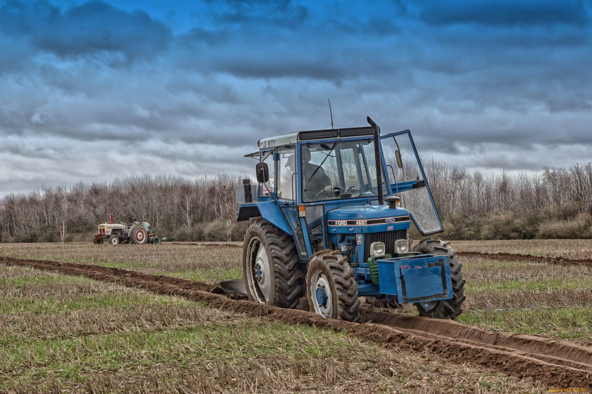 Трактор Беларус в поле