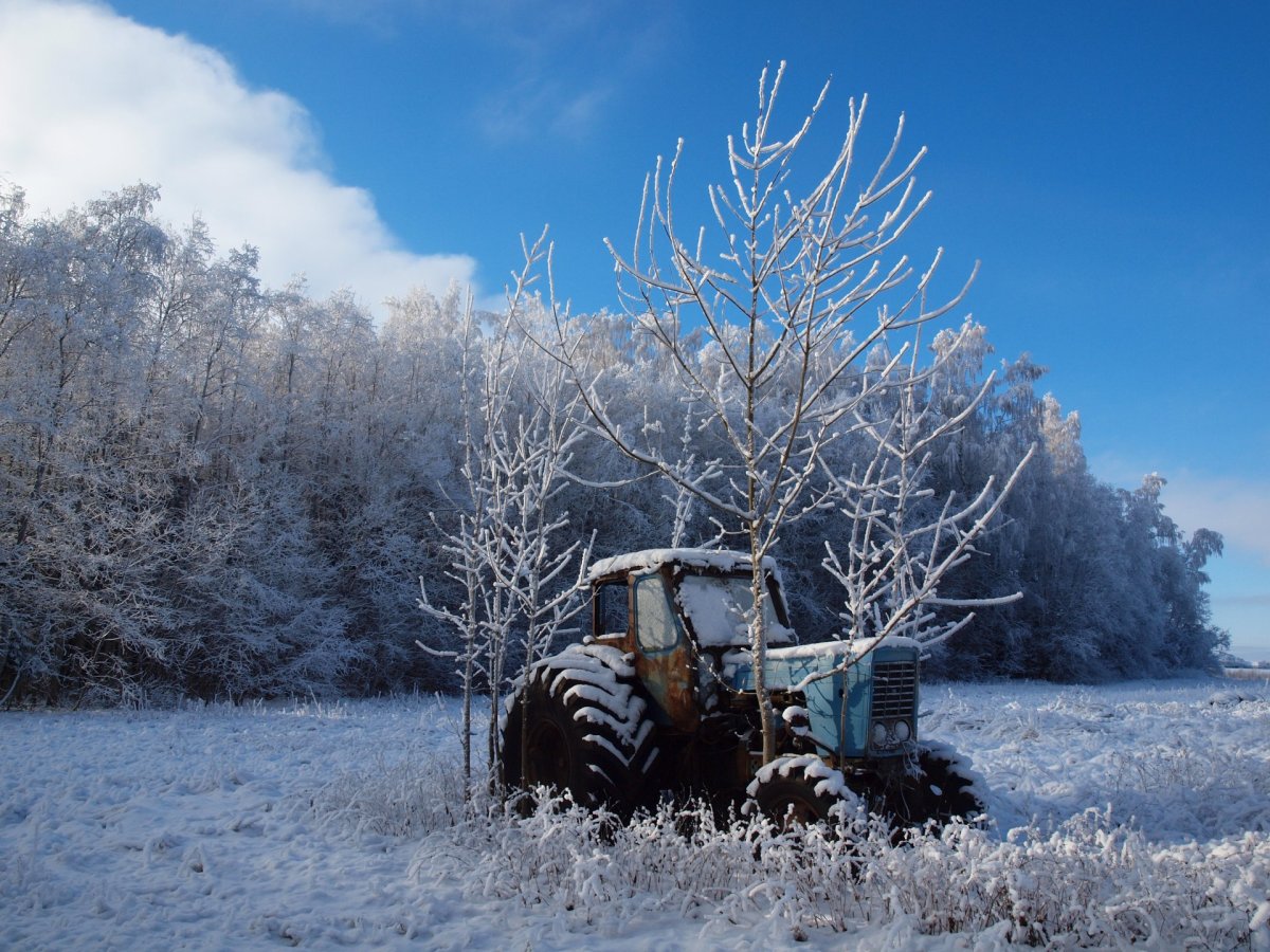 Трактор Беларусь зимой