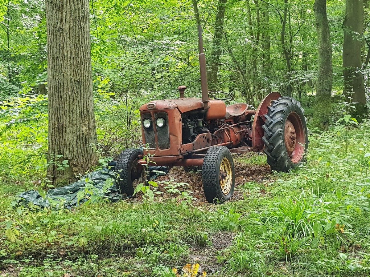 Нашли трактор в лесу