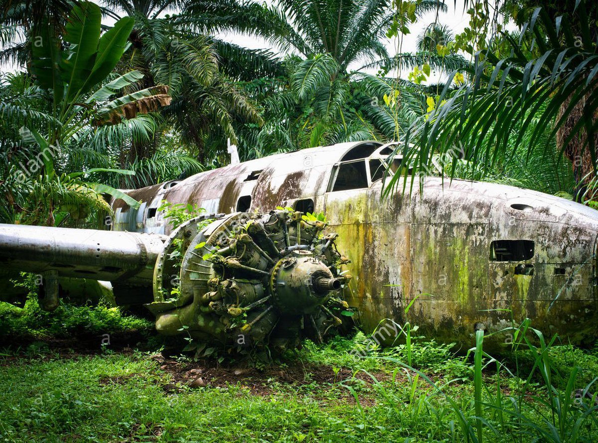 Самолет лежит в джунглях