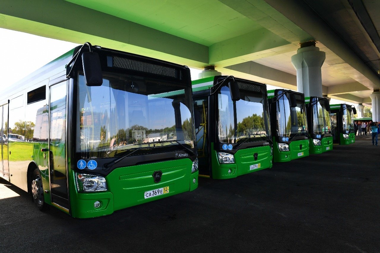 Городские маршрутные автобусы