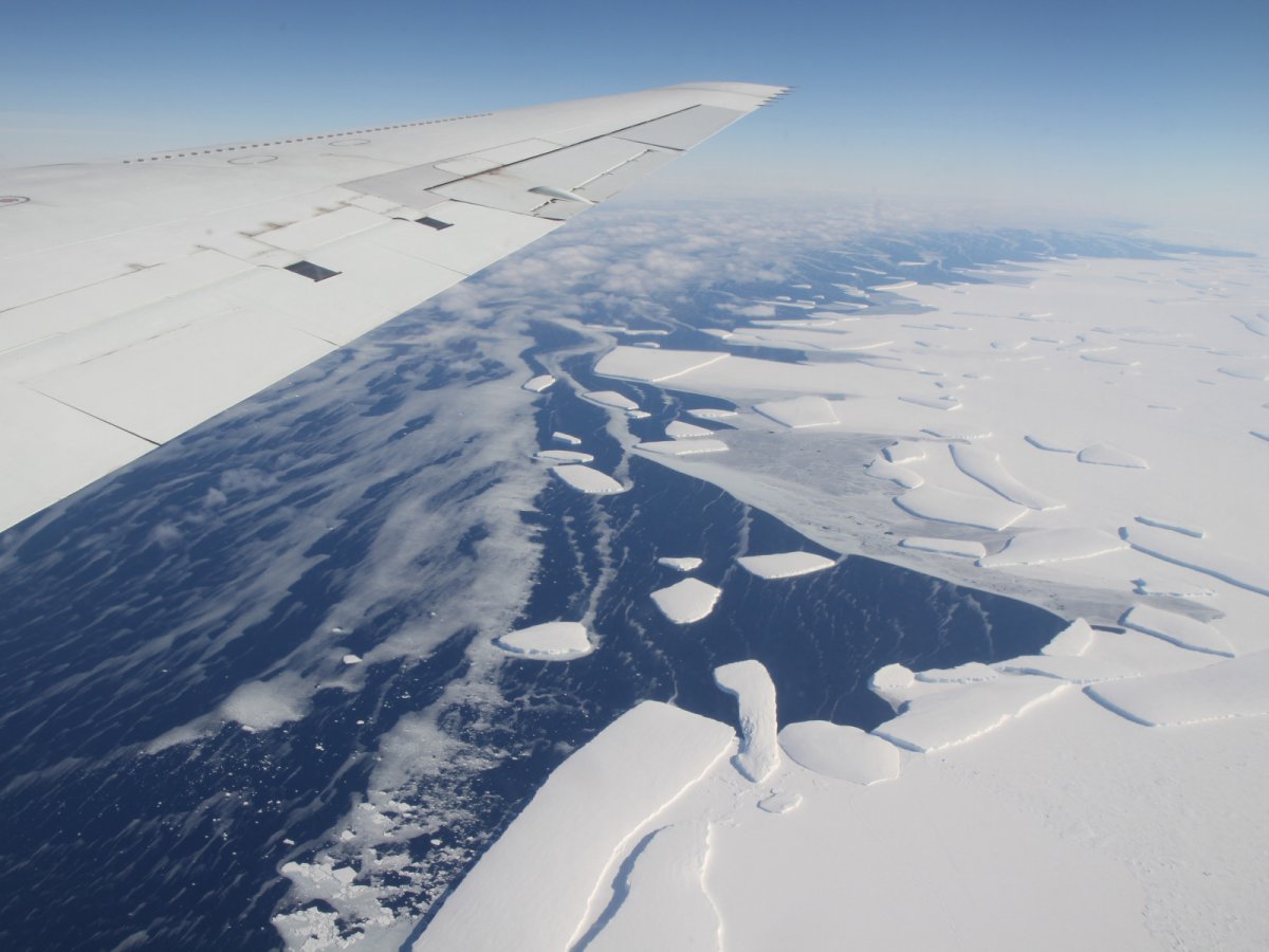 Антарктида с самолета