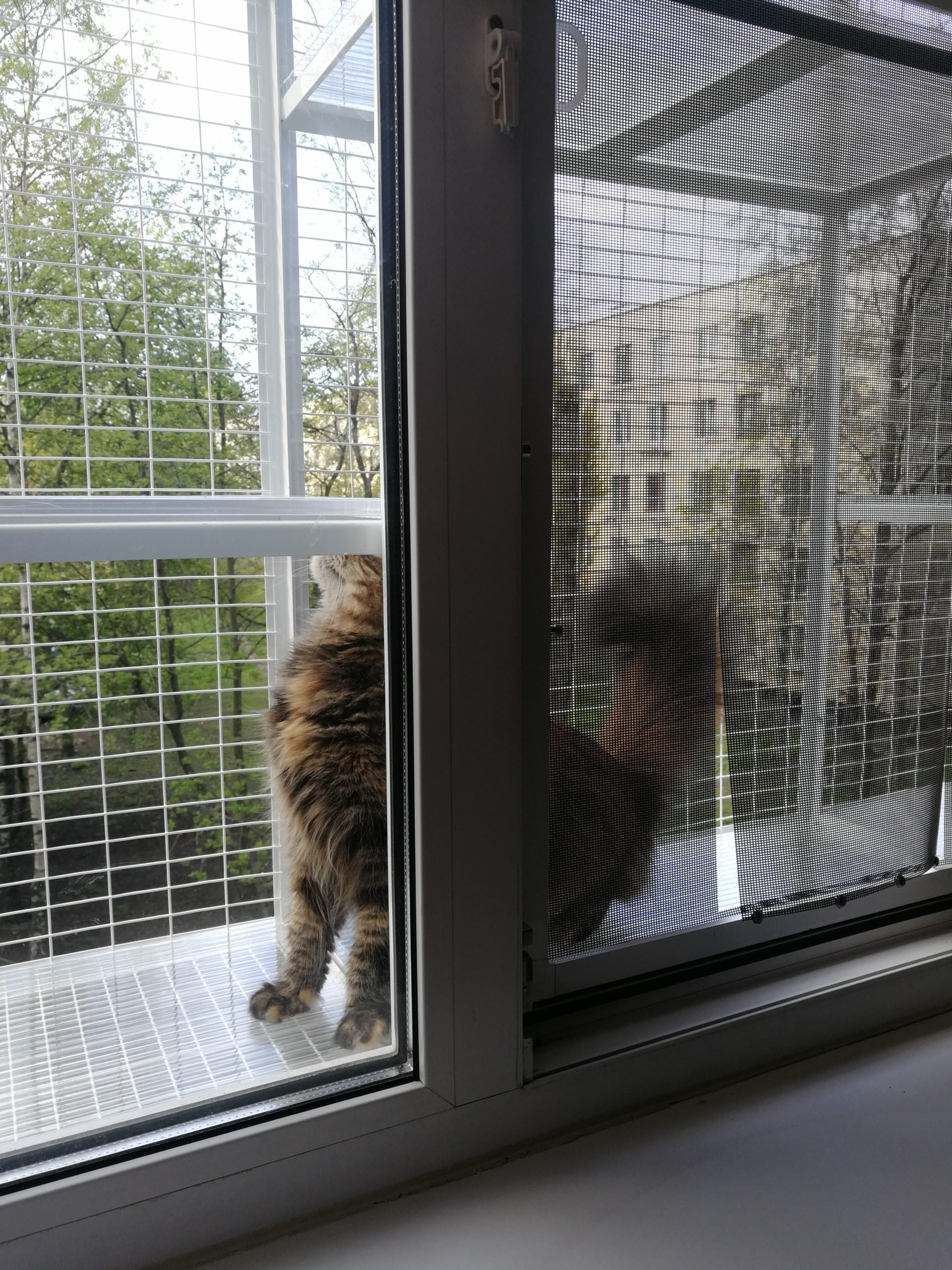 Сетка на окно для кошек антикошка купить. Балкончик антикошка. Клетка антикошка. Решетка антикошка.