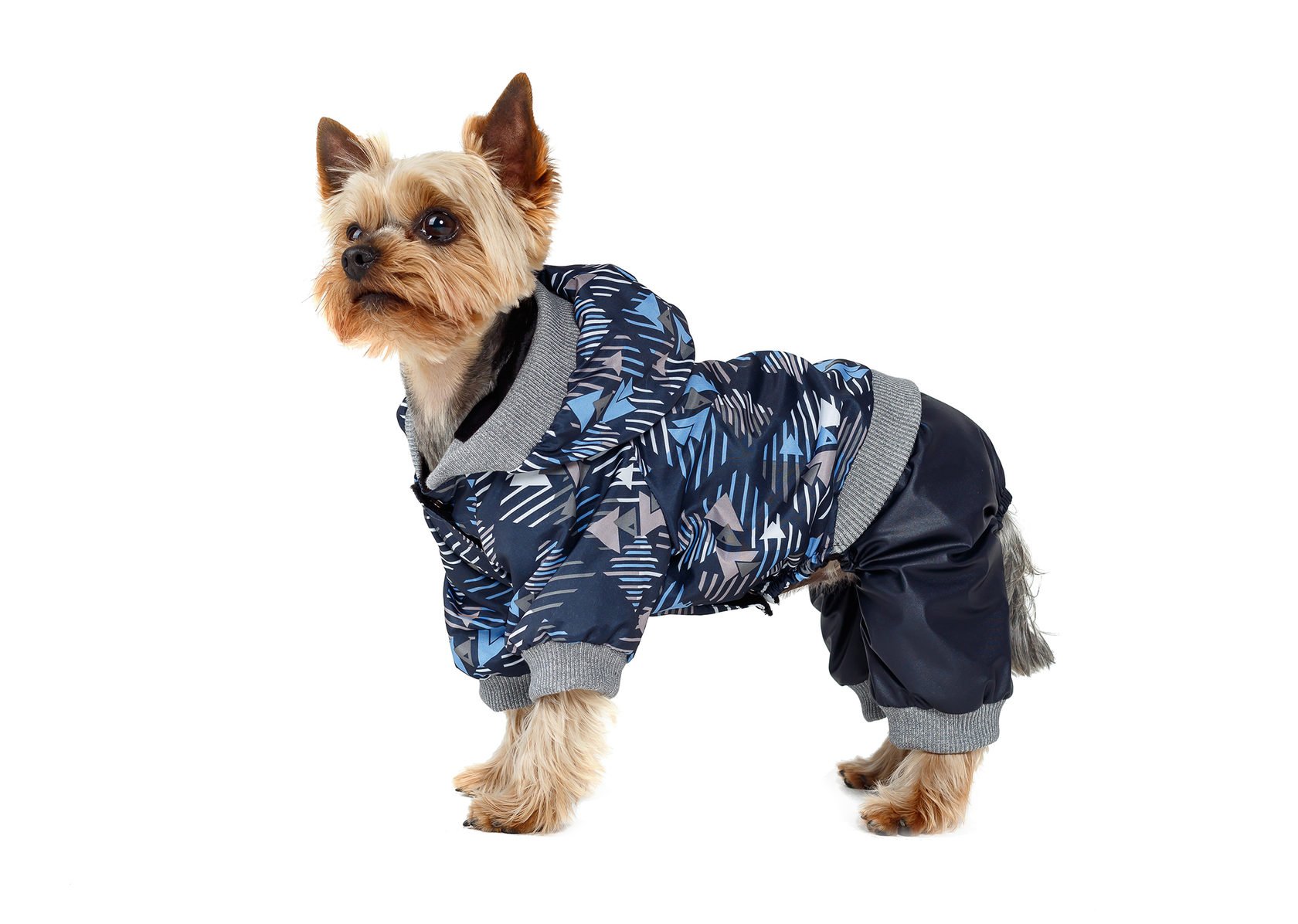 Для собак оптом от производителя. Лимарджи одежда для собак. Одежда для собак на зиму. DW одежда для собак. Одежда для собак роскошная.