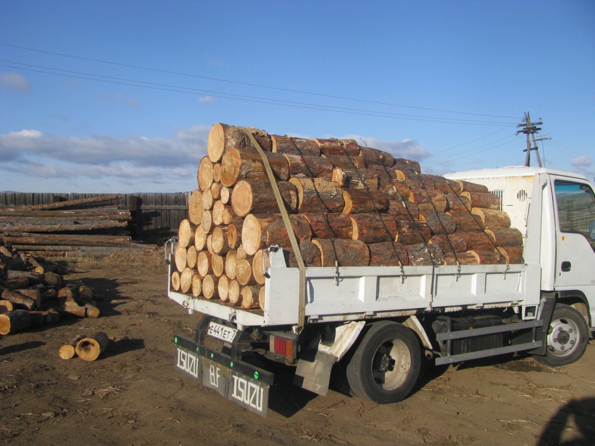 Груженый дровами грузовик