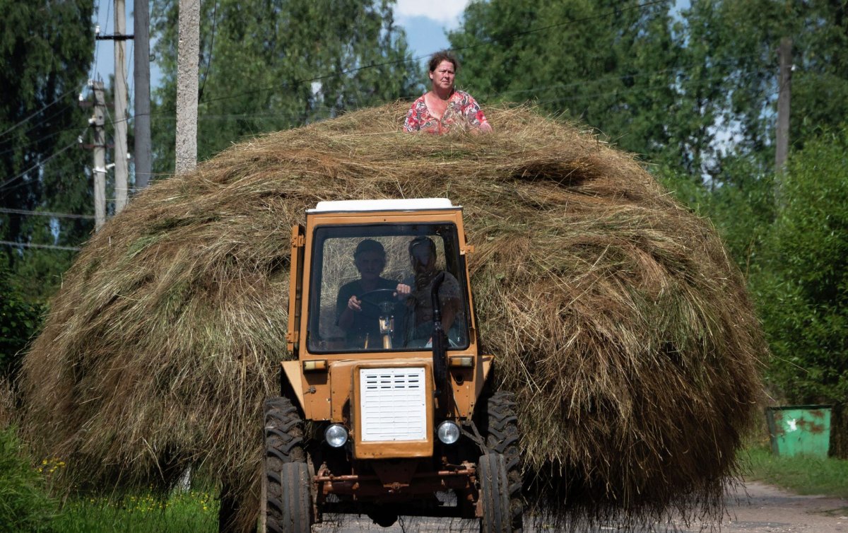 Трактор с сеном