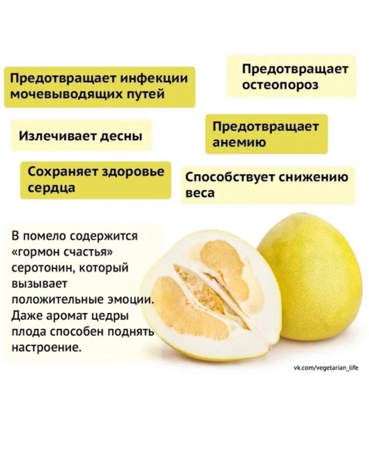 Помело можно есть на ночь. Помело фрукт полезные. Чем полезна помело. Польза помело для организма. Помело фрукт чем он полезен.