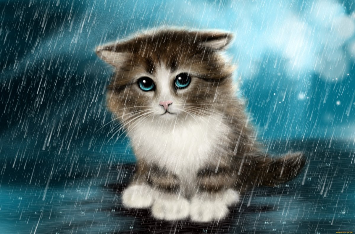 Грустный кот под дождем