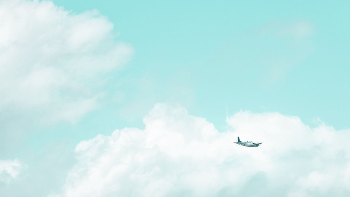 Самолет в полете
