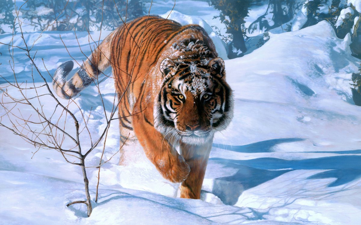 Тигр в лесу