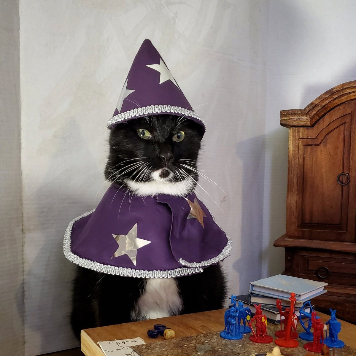 Кот с волшебной палочкой