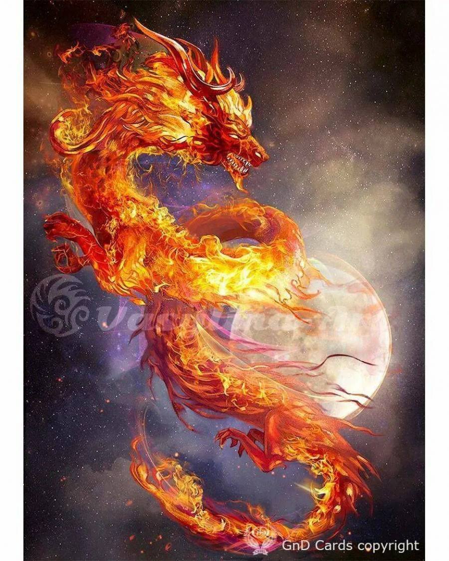 Огненный дракон