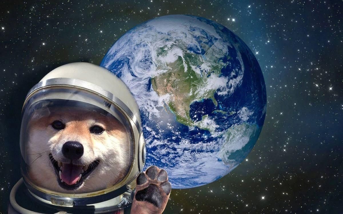 Космическая собака