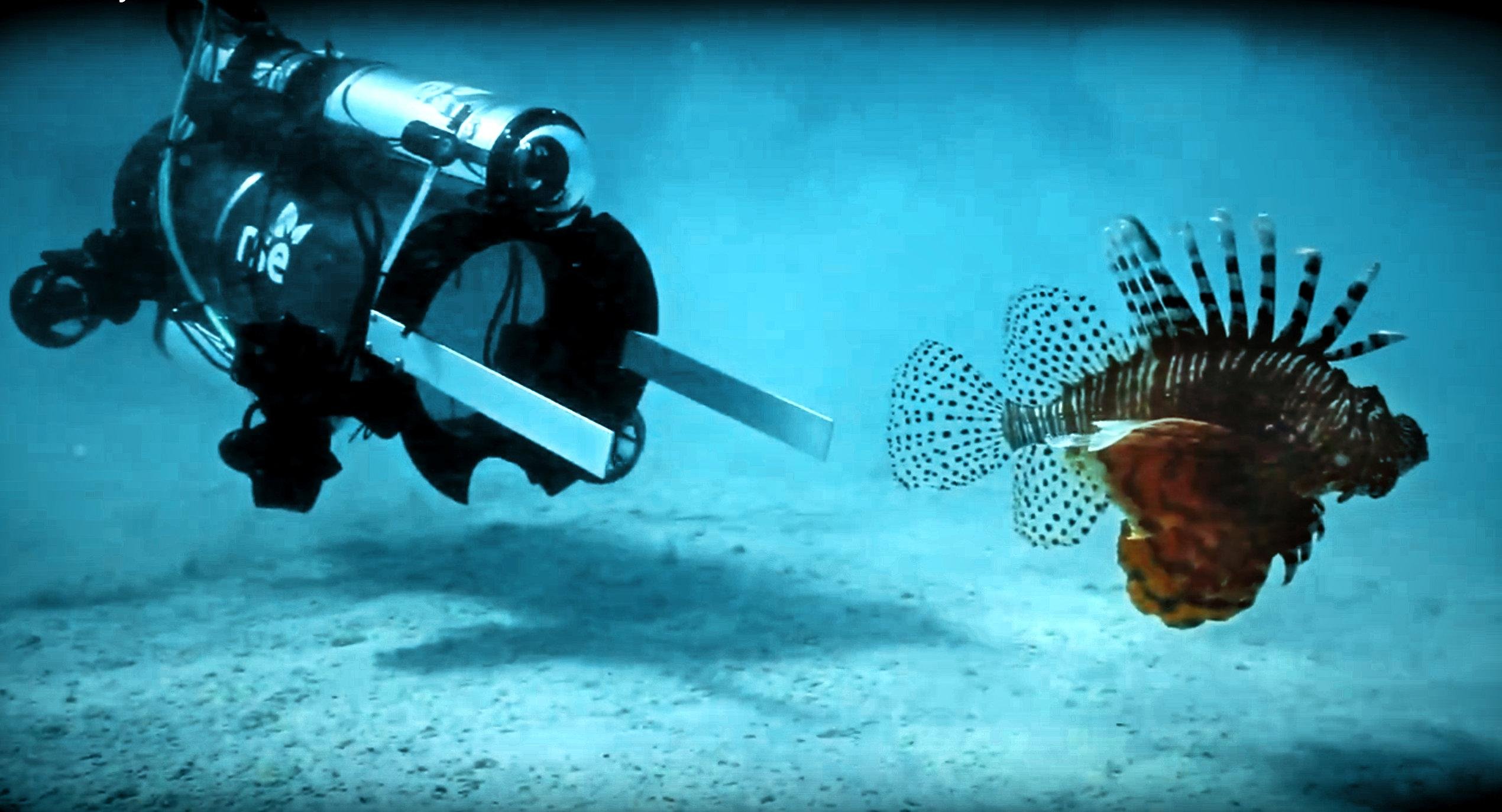 Использование подводных роботов. Подводные роботы. Морские (подводные) роботы. Робот на дне океана. Роботы для исследования морских глубин.