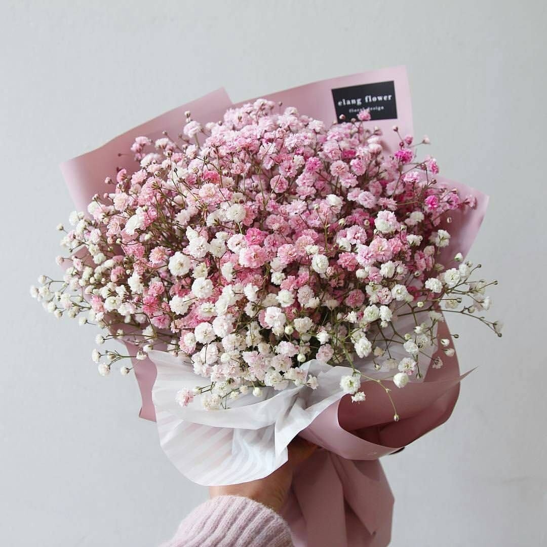 Цветок с розовыми цветами