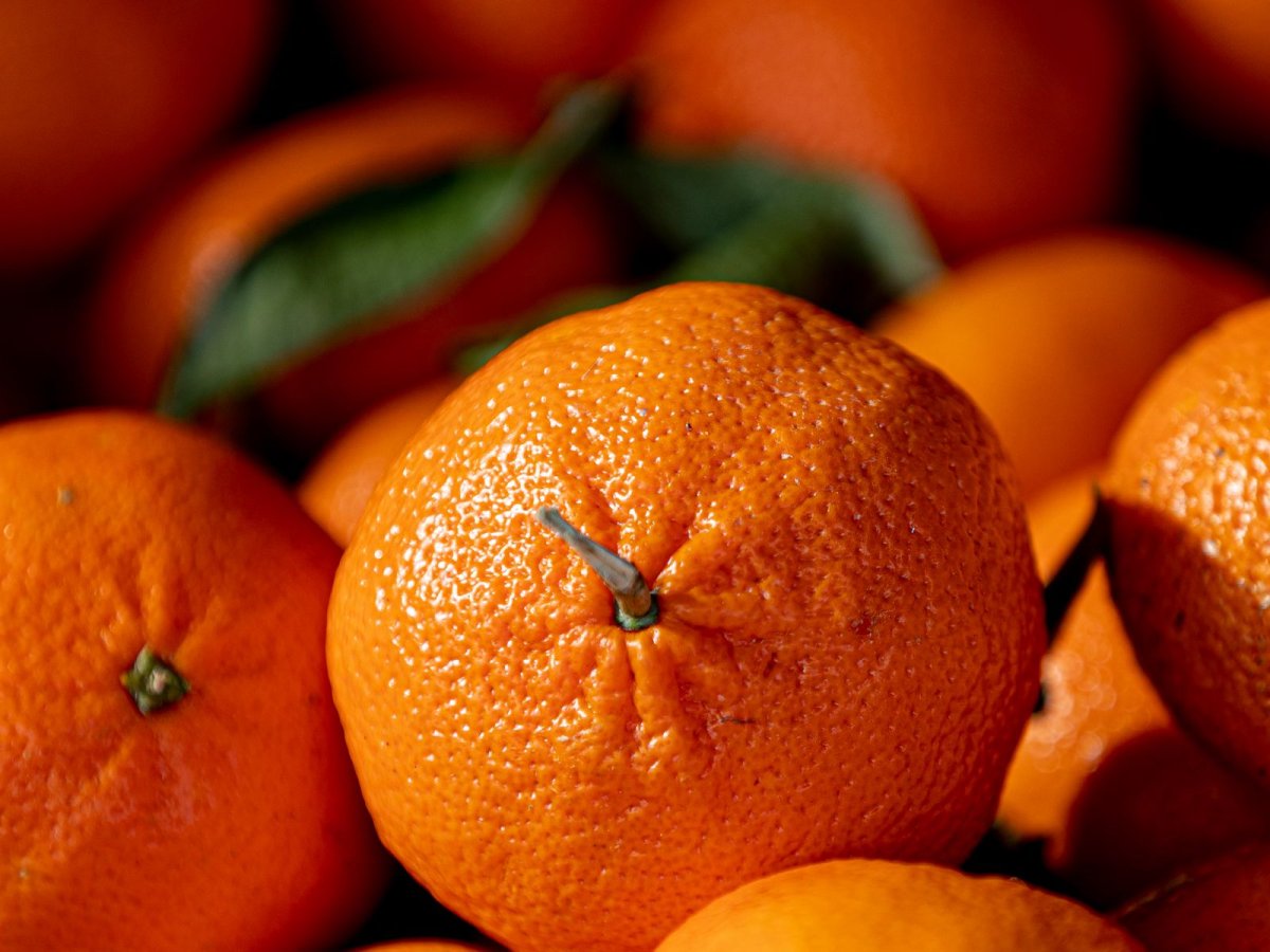 Апельсин обои