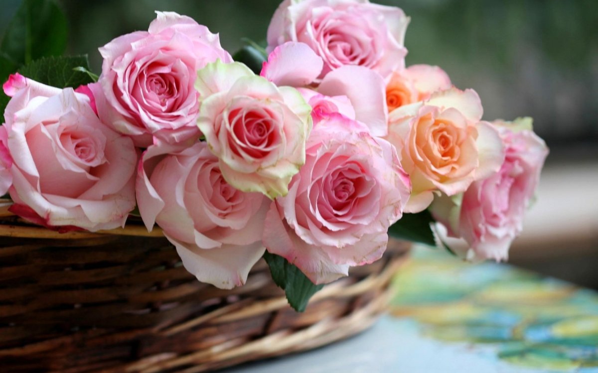 Нежно розовые цветы